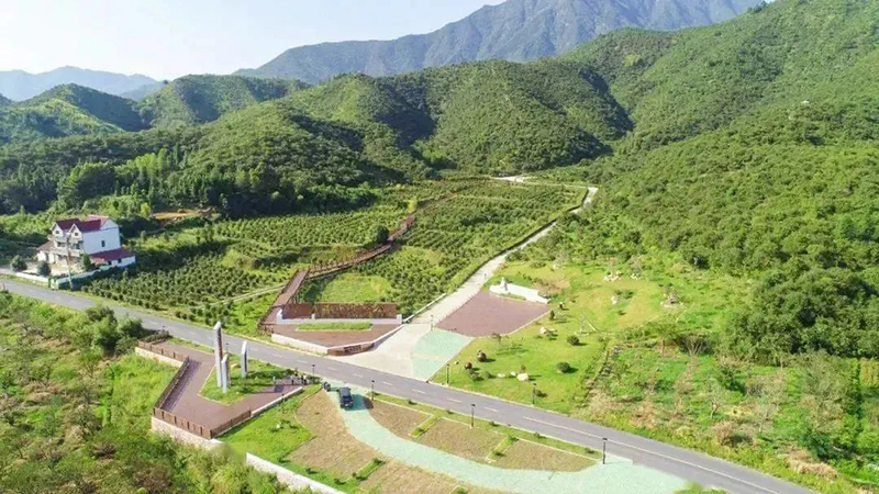 國家級示范，浙江新增4家！