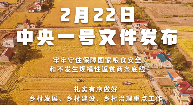 2022年中央一號文件發(fā)布！接續(xù)實施農(nóng)村人居環(huán)境整治提升五年行動