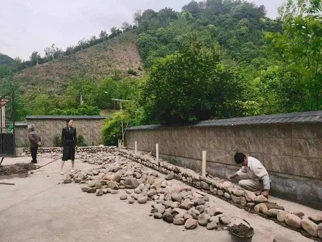 共富“重頭戲”！臨安朱灣村與九耕“牽手”打造“五星生態(tài)農(nóng)場(chǎng)”