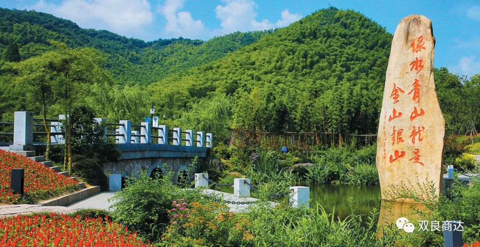 臥虎藏龍取景地，安吉大竹海！商達五鶴村農(nóng)村污水示范站點投入試運行