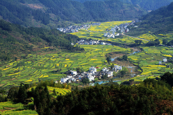 浙江省：新增農(nóng)村行政村環(huán)境整治1100個(gè)，基本消除農(nóng)村黑臭水體