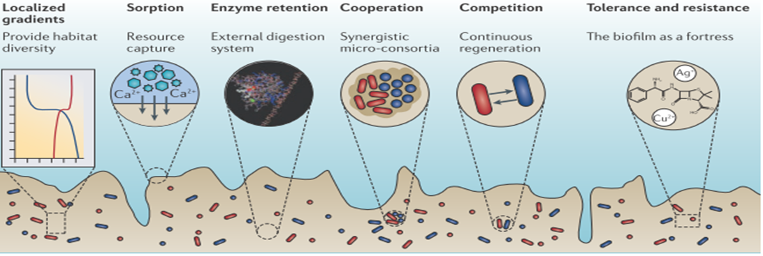 【專(zhuān)題】商達(dá)公用農(nóng)村污水核心技術(shù)探究