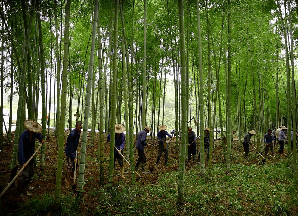 【專(zhuān)題】詳解商達(dá)公用農(nóng)村污水5.0生態(tài)化治理模式