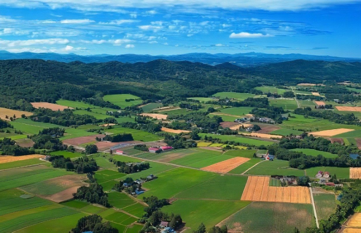 一圖讀懂 | 《長(zhǎng)三角生態(tài)綠色一體化發(fā)展示范區(qū)碳達(dá)峰實(shí)施方案》