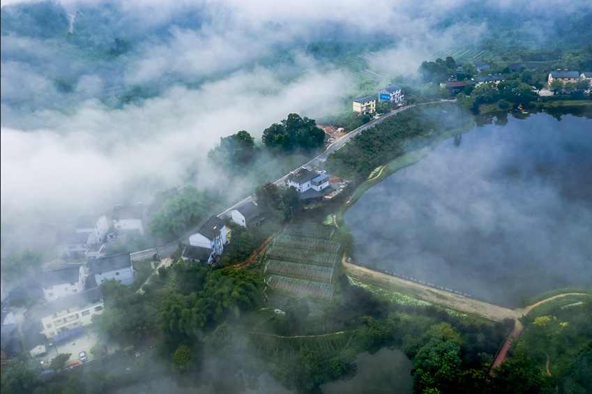 什么是碳達峰與碳中和？全球有哪些國家做出了碳中和承諾？