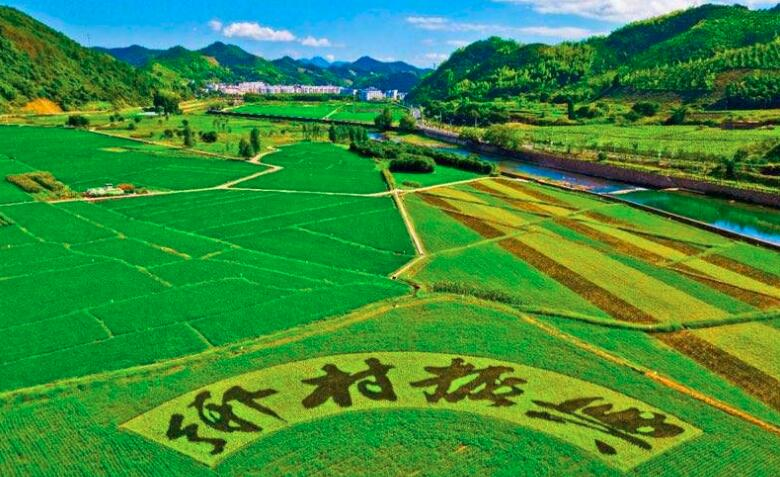 鄉(xiāng)村振興規(guī)劃實(shí)施進(jìn)展如何？這場(chǎng)發(fā)布會(huì)劃重點(diǎn)：系統(tǒng)治理優(yōu)生態(tài)