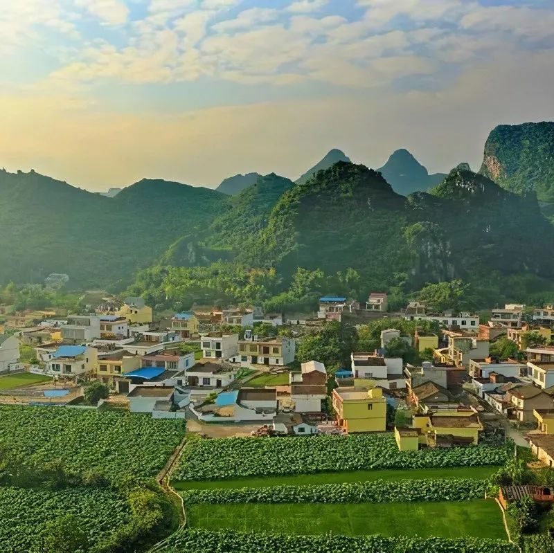 EOD模式的政策支撐、運(yùn)用邏輯和案例解讀