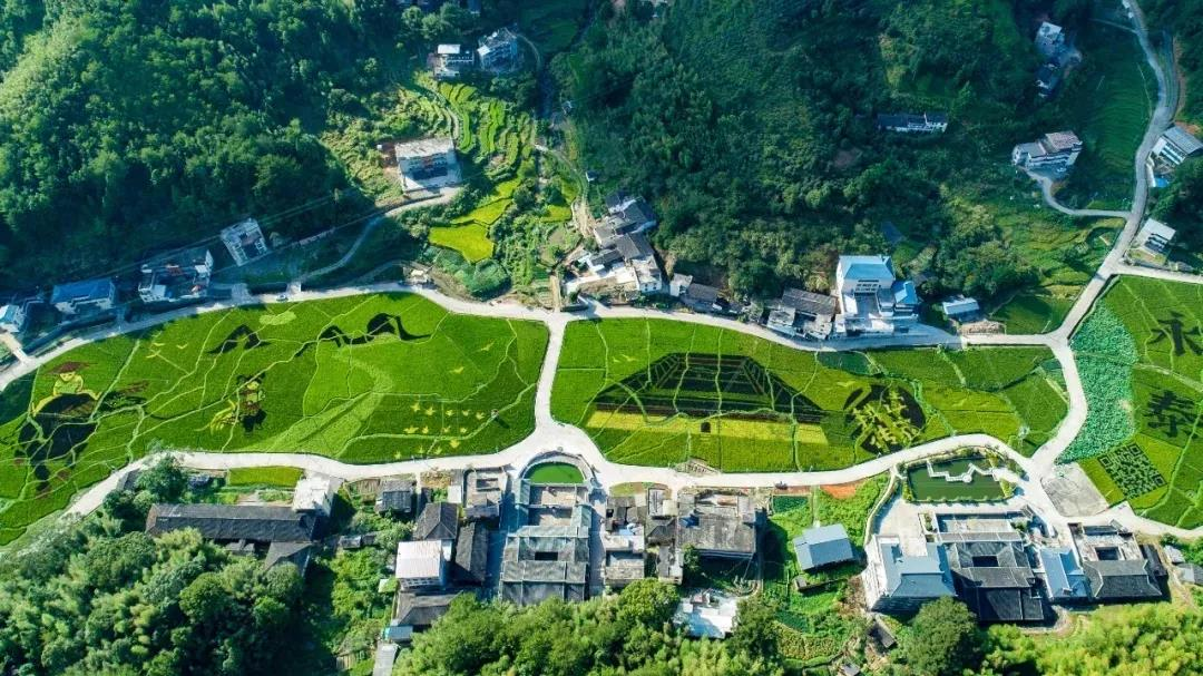 《關(guān)于擴大當前農(nóng)業(yè)農(nóng)村基礎(chǔ)設(shè)施建設(shè)投資的工作方案》全文發(fā)布！