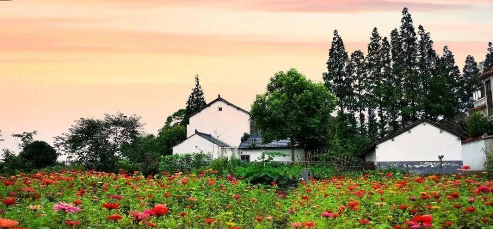 老舊改造+資源化+生態(tài)管控，上海市農村生活污水治理提標增效行動方案發(fā)布