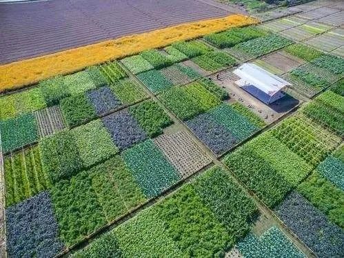 什么是數(shù)字鄉(xiāng)村？如何推進建設(shè)智慧綠色鄉(xiāng)村？指南來了！