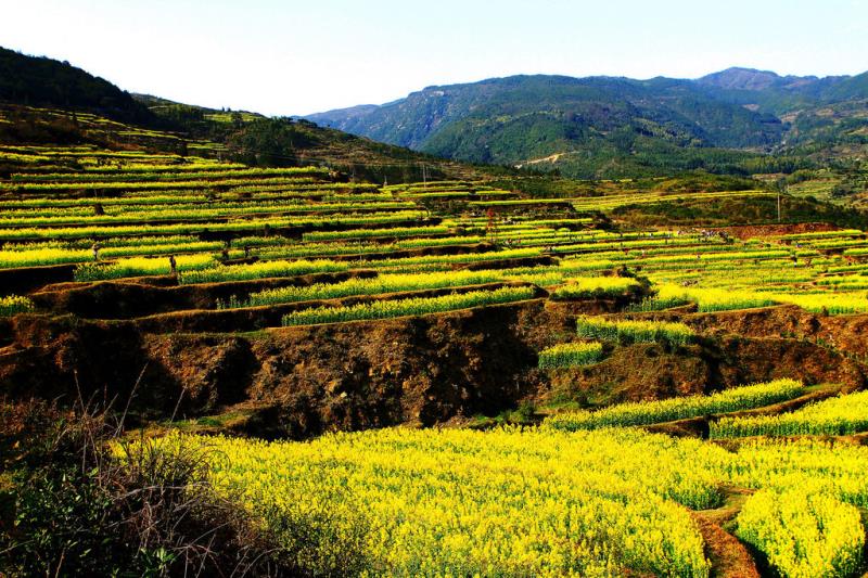 農(nóng)污設(shè)施正常運(yùn)行率80%，山西省水環(huán)境質(zhì)量再提升2022-2023年行動(dòng)計(jì)劃發(fā)布