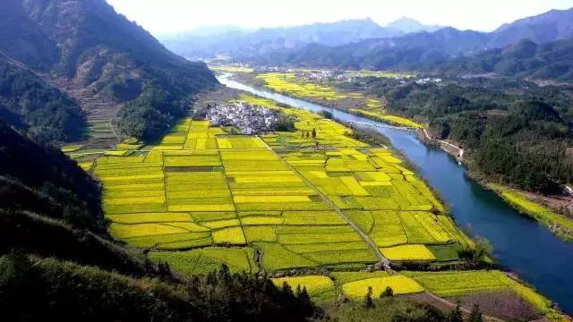 中央經(jīng)濟工作會議要求，在落實碳達峰碳中和目標任務(wù)過程中鍛造新的產(chǎn)業(yè)競爭優(yōu)勢