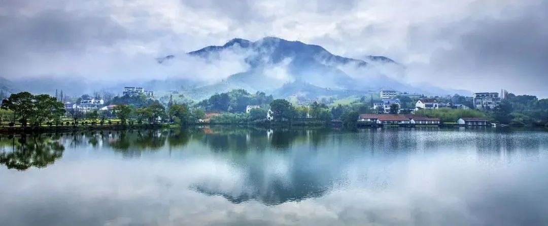 中央鄉(xiāng)村振興的宏觀大政：產(chǎn)業(yè)興旺、生態(tài)宜居、鄉(xiāng)風(fēng)文明、治理有效、生活富裕