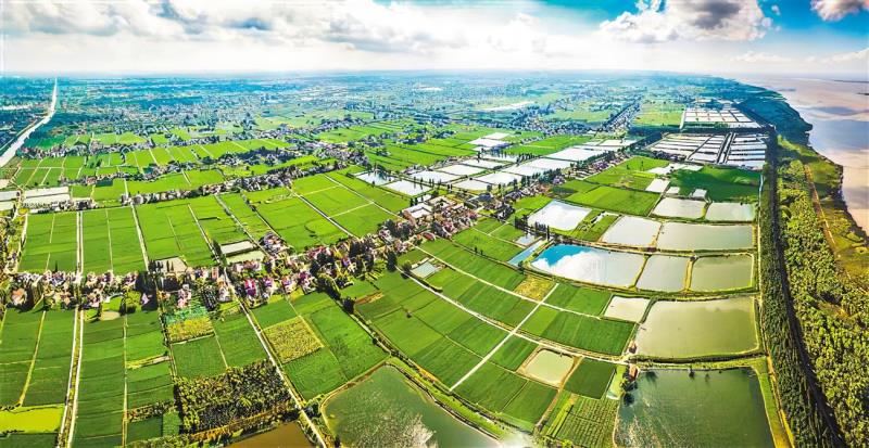 《上海市農(nóng)村生活污水治理運(yùn)行維護(hù)技術(shù)規(guī)程》發(fā)布