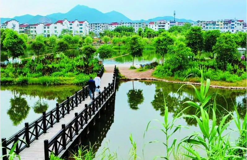 《中國(guó)環(huán)境報(bào)》頭版頭條：浙江構(gòu)建降碳、減污、擴(kuò)綠、增長(zhǎng)整體智治體系