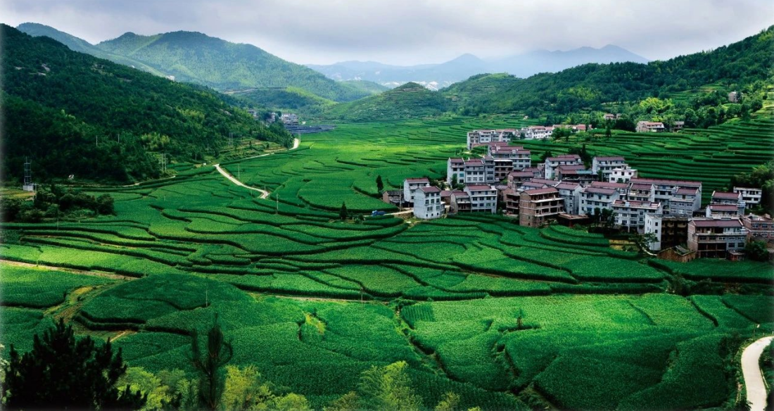 2023年中央一號文件，與生態(tài)環(huán)保息息相關(guān)的內(nèi)容有哪些？