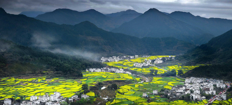 農(nóng)業(yè)農(nóng)村部一號文件發(fā)布：統(tǒng)籌推進(jìn)農(nóng)村生活污水和垃圾治理！