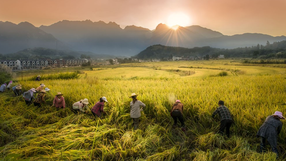 河南七部門聯(lián)合發(fā)布《河南省減污降碳協(xié)同增效行動(dòng)方案》