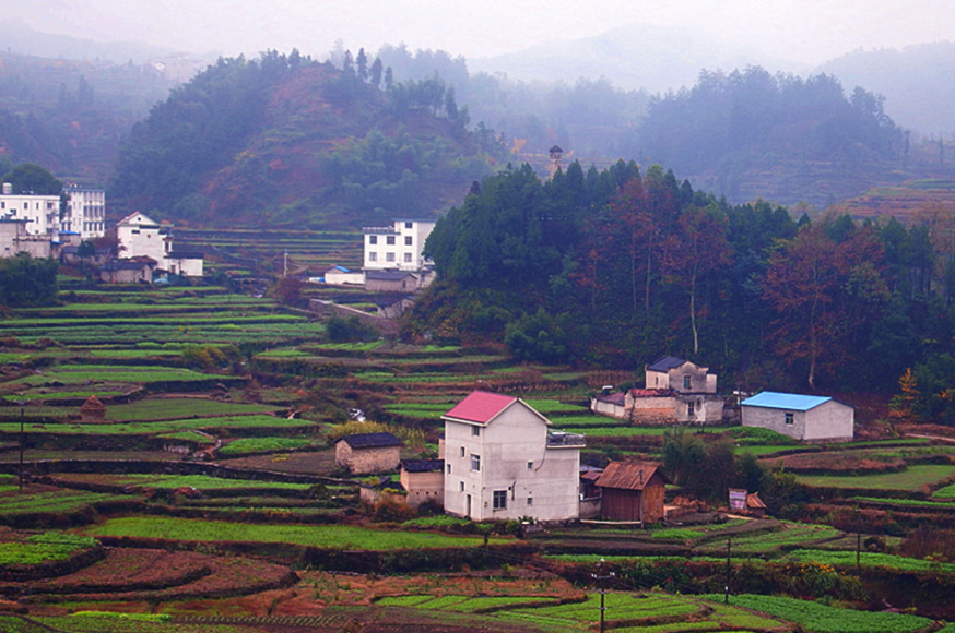 生態(tài)環(huán)境部：今年計劃完成800余條較大面積農(nóng)村黑臭水體整治