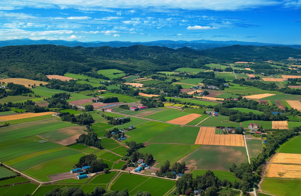 2023年鄉(xiāng)村振興項目申報及政策補(bǔ)貼匯總，支持鄉(xiāng)鎮(zhèn)污水處理、農(nóng)村人居環(huán)境整治、智慧農(nóng)業(yè)和數(shù)字鄉(xiāng)村等領(lǐng)域
