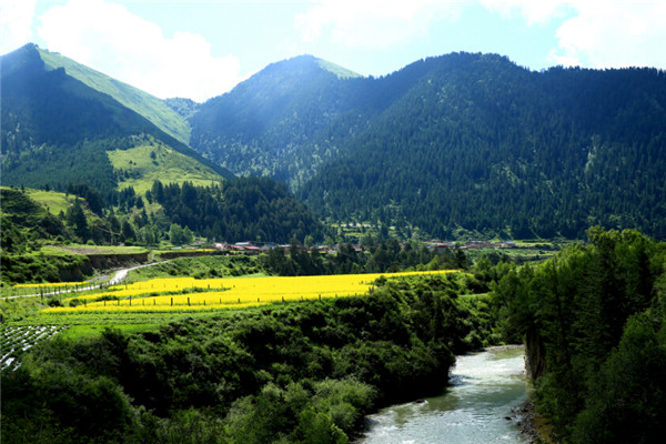 建設(shè)村莊垃圾收集點(diǎn)、鄉(xiāng)鎮(zhèn)垃圾轉(zhuǎn)運(yùn)站，《甘肅省鄉(xiāng)村建設(shè)行動實(shí)施方案》明確這些要求！