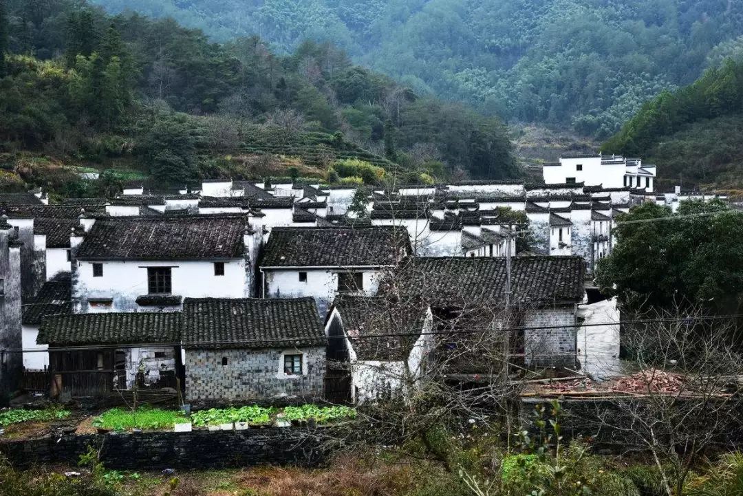 七部門明確！在農(nóng)村人居環(huán)境整治提升中統(tǒng)籌考慮減污降碳要求