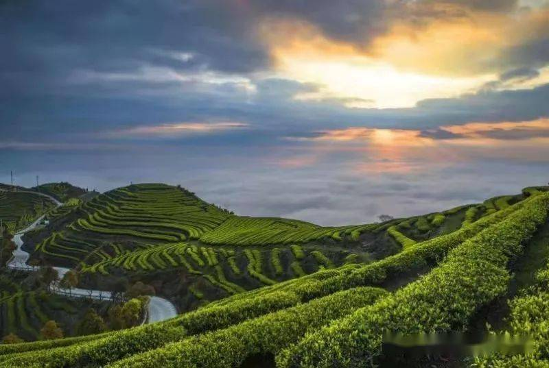 農(nóng)業(yè)農(nóng)村部：到2025年建設(shè)1000家國家級生態(tài)農(nóng)場