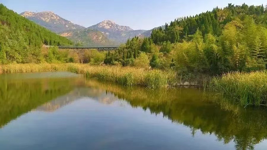 ?山東印發(fā)碳金融發(fā)展三年行動(dòng)方案