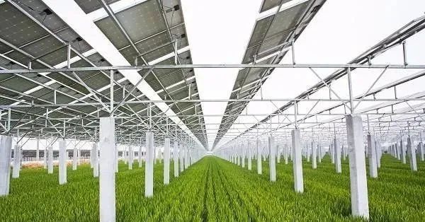 “光伏+農(nóng)業(yè)”八大新模式，一個(gè)正在打開(kāi)的未來(lái)！