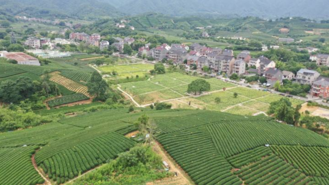 農(nóng)業(yè)農(nóng)村部辦公廳關(guān)于深入學(xué)習(xí)浙江“千萬(wàn)工程”經(jīng)驗(yàn)的通知