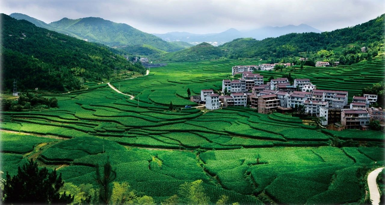 中央財(cái)辦等關(guān)于有力有序有效推廣浙江“千萬工程”經(jīng)驗(yàn)的指導(dǎo)意見