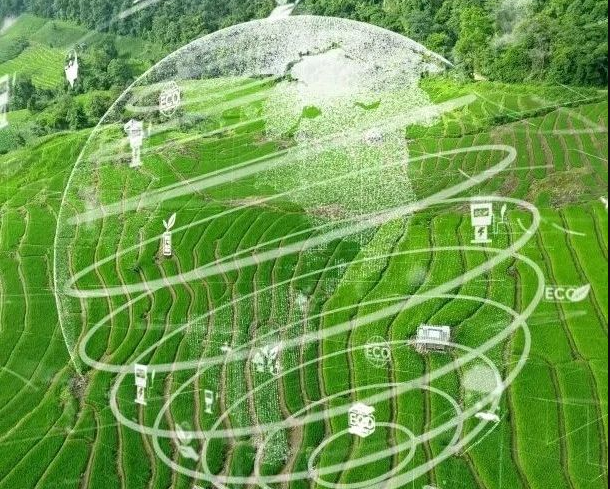 農(nóng)業(yè)碳匯加速入局碳交易，農(nóng)產(chǎn)品固碳價(jià)值“變現(xiàn)”可期