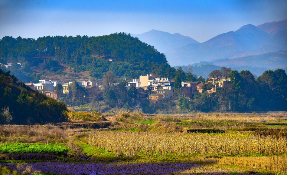 山東省農(nóng)村生活污水處理設(shè)施運(yùn)行維護(hù)管理辦法（修訂稿）征求意見(jiàn)