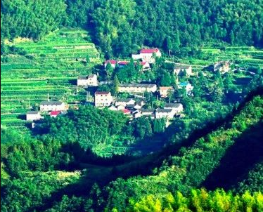 《浙江省綠色低碳轉(zhuǎn)型促進(jìn)條例（草案送審稿）》公開(kāi)征求意見(jiàn)