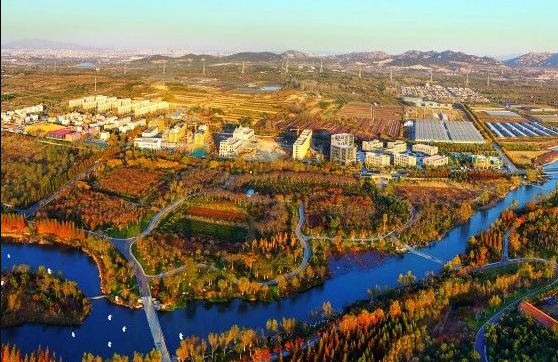 什么是農(nóng)村生活污水全域治理的“青島速度”？