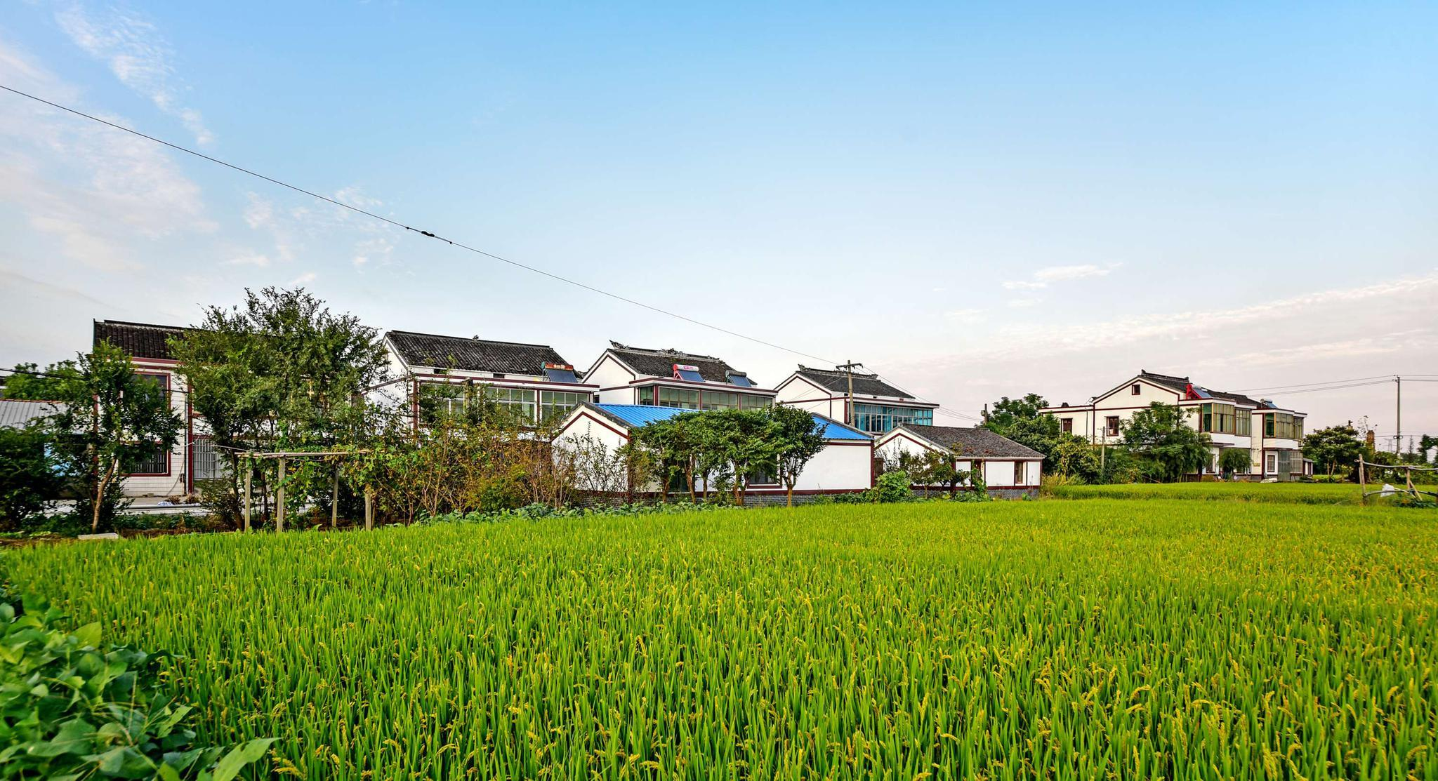 工信部：加快推動(dòng)出臺(tái)《關(guān)于促進(jìn)專(zhuān)精特新中小企業(yè)高質(zhì)量發(fā)展的若干措施》