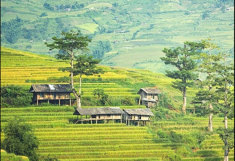 農(nóng)村生活污水凈化裝置團(tuán)體標(biāo)準(zhǔn)通過(guò)批準(zhǔn)，12月1日起正式實(shí)施