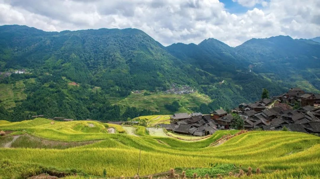 安徽：農(nóng)村黑臭水體整治，強化推進(jìn)會落實