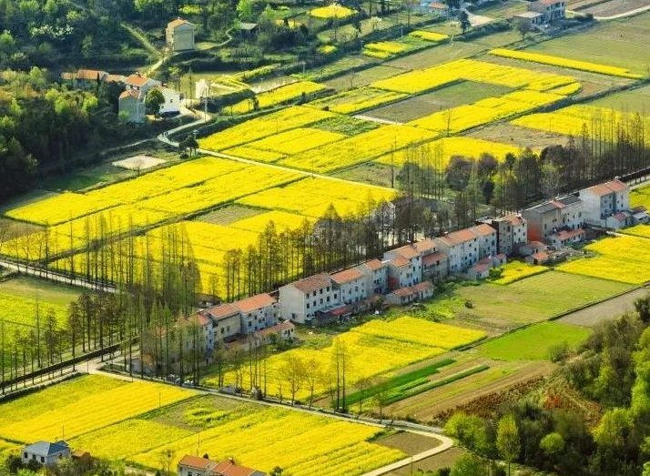 2025年治理率達(dá)到65.76%以上，武漢市農(nóng)村生活污水治理三年行動(dòng)實(shí)施方案發(fā)布