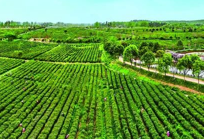 生態(tài)環(huán)境部：審議并原則通過(guò)《關(guān)于進(jìn)一步推進(jìn)農(nóng)村生活污水治理的指導(dǎo)意見(jiàn)》等標(biāo)準(zhǔn)