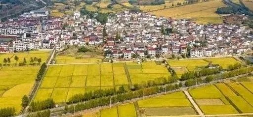 未來5年，鄉(xiāng)村產業(yè)8大投資重點在哪里？