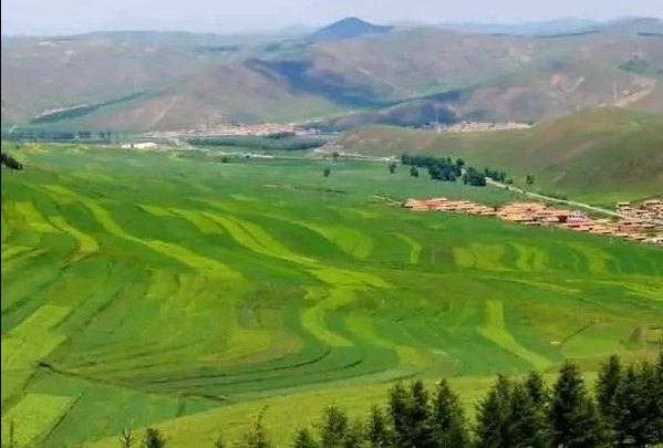 全文丨浙江農(nóng)業(yè)農(nóng)村廳 浙江農(nóng)商行印發(fā)《關(guān)于金融支持新型農(nóng)業(yè)經(jīng)營(yíng)主體高質(zhì)量發(fā)展助力農(nóng)業(yè)農(nóng)村現(xiàn)代化先行的指導(dǎo)意見》