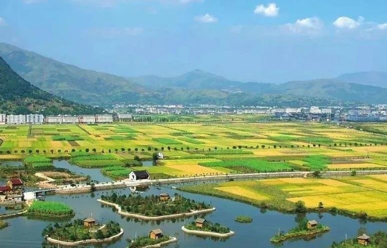 鄉(xiāng)村振興工作滯后，約談！江西省委、省政府發(fā)布《江西省鄉(xiāng)村振興責(zé)任制實(shí)施細(xì)則》