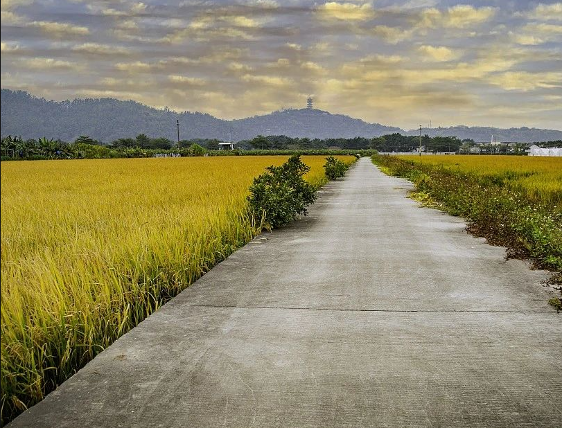 12月16日?qǐng)?zhí)行！廣東省農(nóng)業(yè)農(nóng)村廳 廣東省財(cái)政廳關(guān)于印發(fā)《廣東省現(xiàn)代農(nóng)業(yè)產(chǎn)業(yè)園財(cái)政資金管理辦法（修訂）》的通知