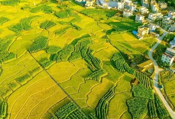 農(nóng)村污水處理：不同省份如何因地制宜？