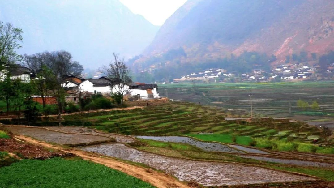 濟寧：農(nóng)村污水治理全域統(tǒng)籌，提升治理水平