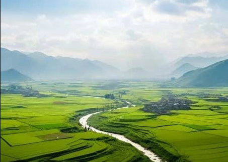 《農(nóng)村黑臭水體治理工作指南》來了！