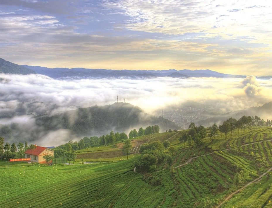 農(nóng)村生活污水治理率達(dá)到46.58%，湖北省印發(fā)2024年全省生態(tài)環(huán)境工作要點(diǎn)