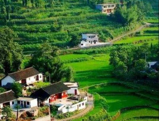 農(nóng)業(yè)農(nóng)村部辦公廳、財政部辦公廳關(guān)于做好2024年農(nóng)業(yè)產(chǎn)業(yè)融合發(fā)展項目申報通知