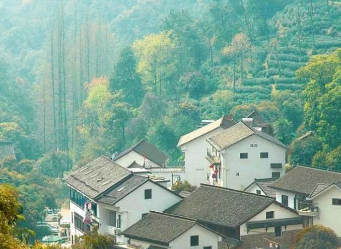 中央財政支持農業(yè)投資重點領域指引